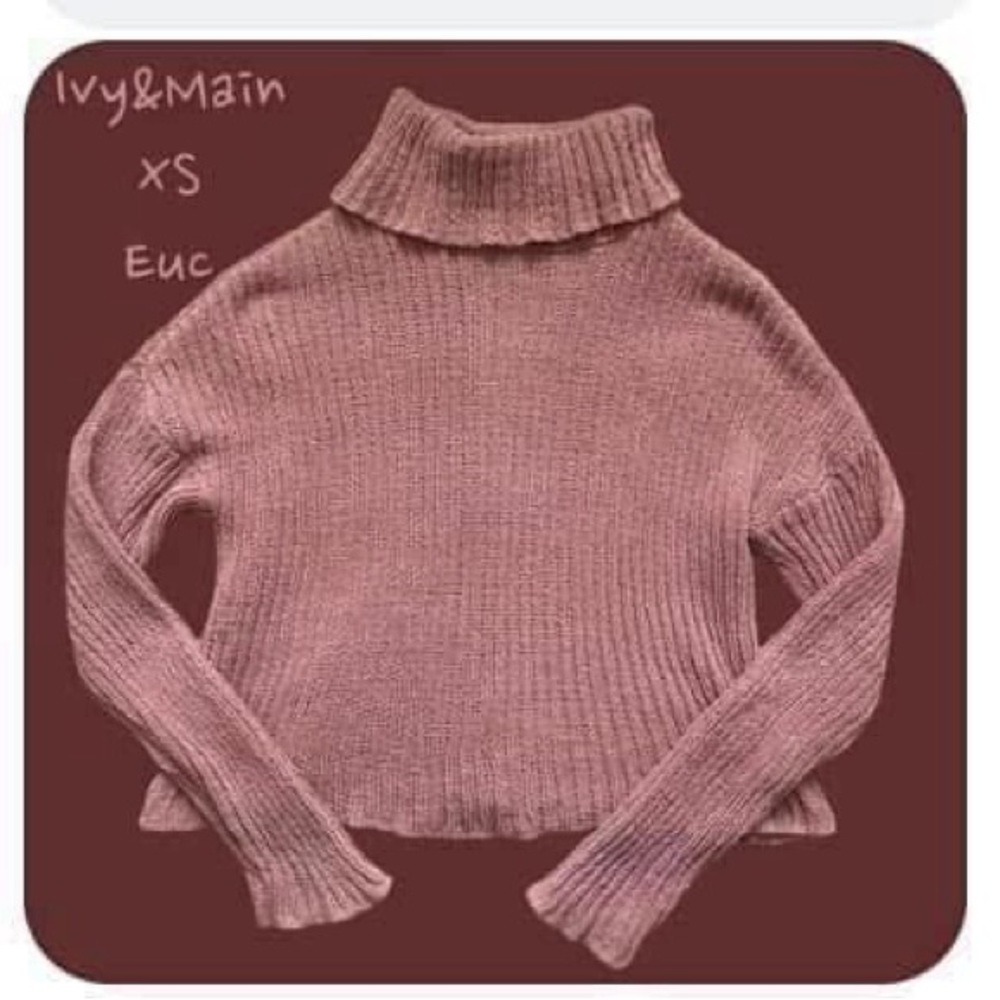 💙4/$28💙 Ivy & Main Mauve Turtleneck Sweater